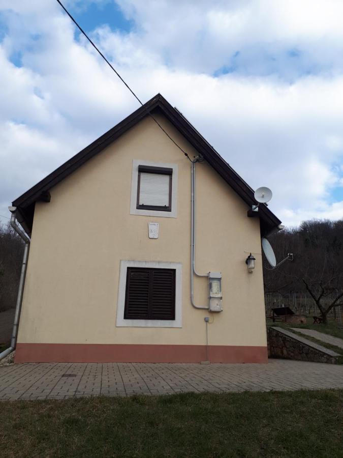 Kéknefelejcs Vendégház Tapolca Exterior foto