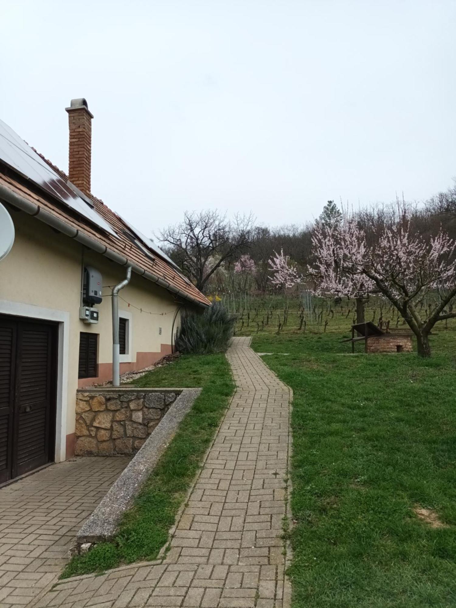 Kéknefelejcs Vendégház Tapolca Exterior foto